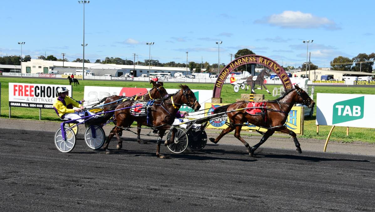 Too good: Mickilla Express (#1) leads home Mister Stewart (closest to camera) and Lockton Art in the first race at Dubbo. Photos: BELINDA SOOLE