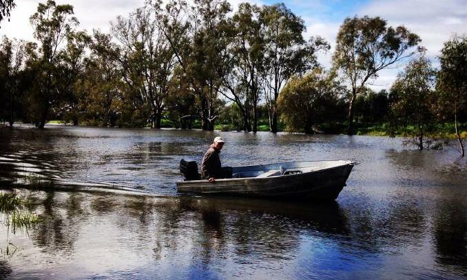 High tide: Kim Muffett on the way out of Girragirra, near Forbes, by boat.