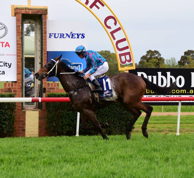 Called off: Any Blinkin' Day won the Dubbo Gold Cup 10 days ago. Friday's  meeting has been postponed. Photo: BELINDA SOOLE