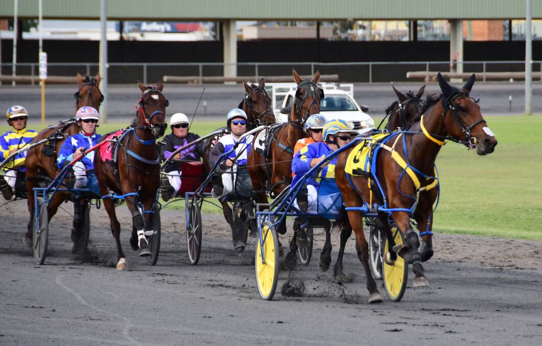 Full fields: There will be plenty of action on track at Dubbo Paceway on Boxing Day night. Photo: FILE