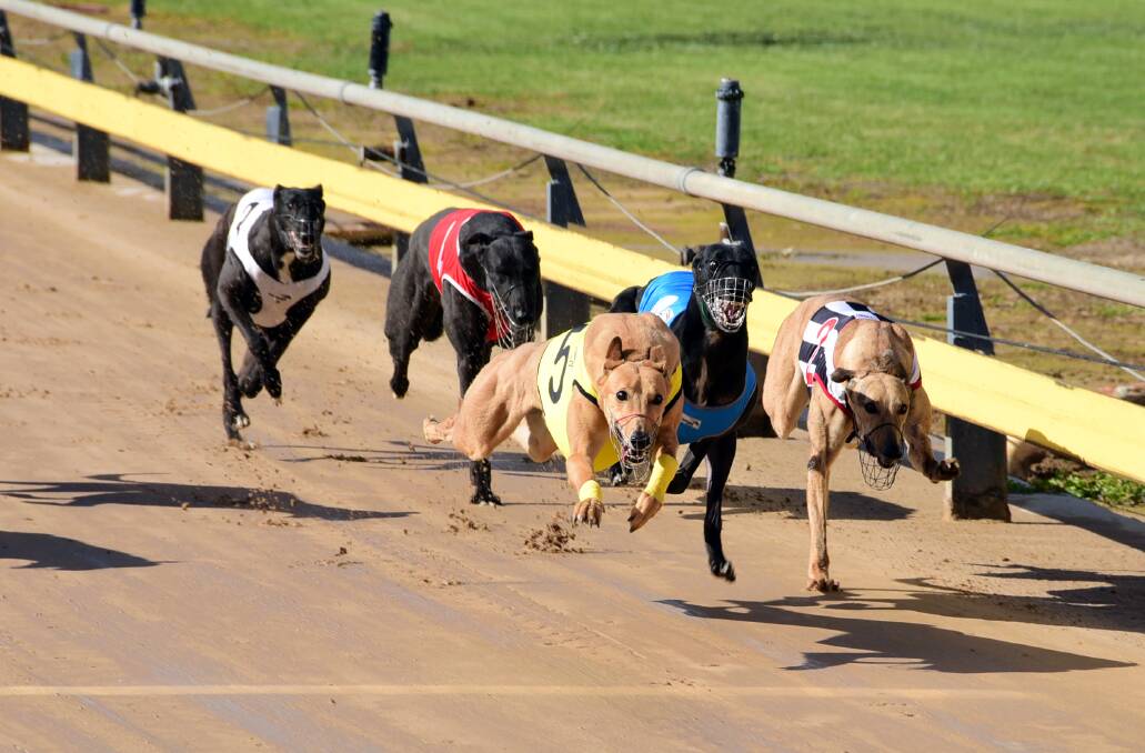Off and racing: There is expected to be plenty of close of close racing on the 11-race meeting. Photo: BELINDA SOOLE