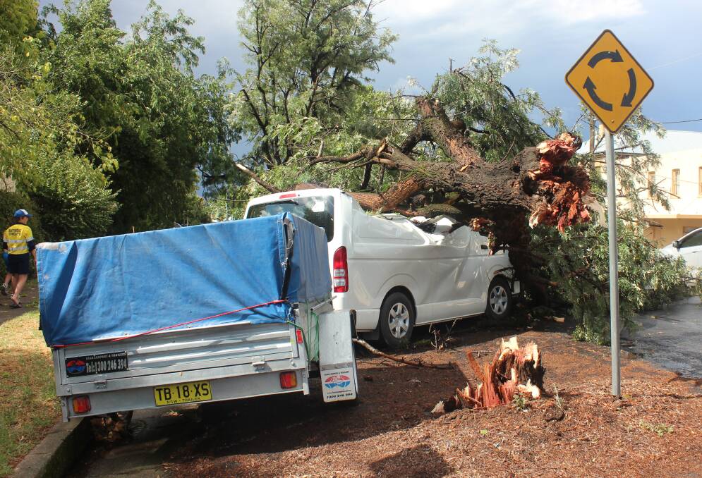 WIND FORCE. A full-size tree was completely uprooted and slammed into a white van parked on a town street.