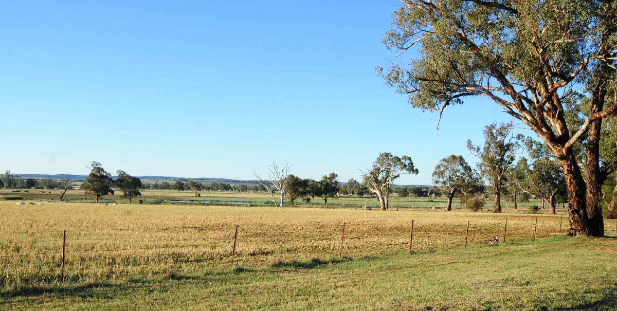 A farm not a mine: Paddocks in the Dunedoo district. Marketing of Cobbora Holding Company's land is about to begin, after the government announced it would be sold for agriculture, rather than a coal project. File photo. 