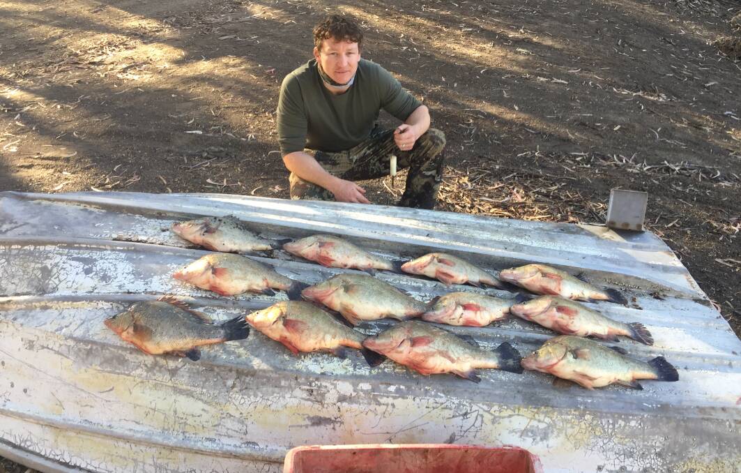 Fisheries officers seized a 3.5-metre aluminium punt with 15-horsepower outboard motor and 12 golden perch in the operation. Photo contributed.
