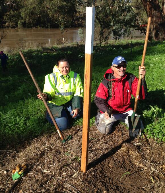 Green thumbs: Dubbo Macquarie River Bushcare members Melissa Gray and David Harris plant a tree on the bank of the Macquarie River. The volunteer group has planted 40 trees and has plans to do more. Photo contributed. 