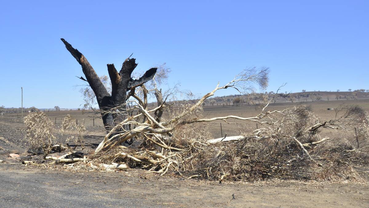 The aftermath of the Sir Ivan fire east of Dunedoo. Photo: BELINDA SOOLE