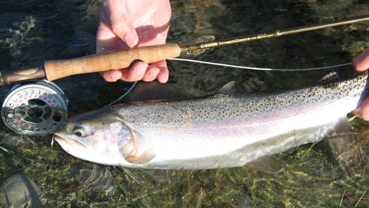 Trout season will open on Saturday. Photo contributed.