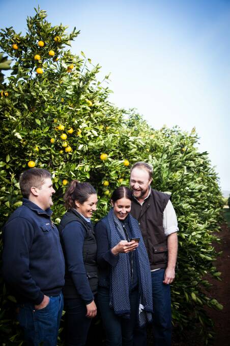Skilled up: Young Farmer Business Program participants Rendall Groat, Katherine Zahra, Amy Billsborough, Charles Morgan. Photo contributed.