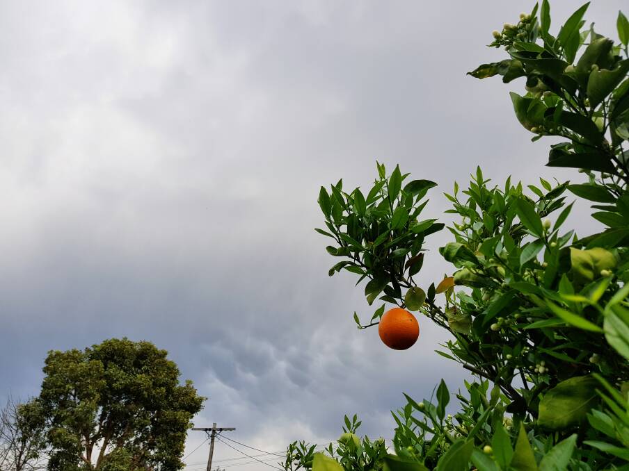 Grey skies: Clouds over Dubbo have failed to yield more than five millimetres of rain in September, despite the landscape needing a drenching. Photo: AMY MCINTYRE