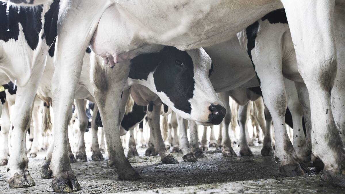 Dairy farmers push for more transparency