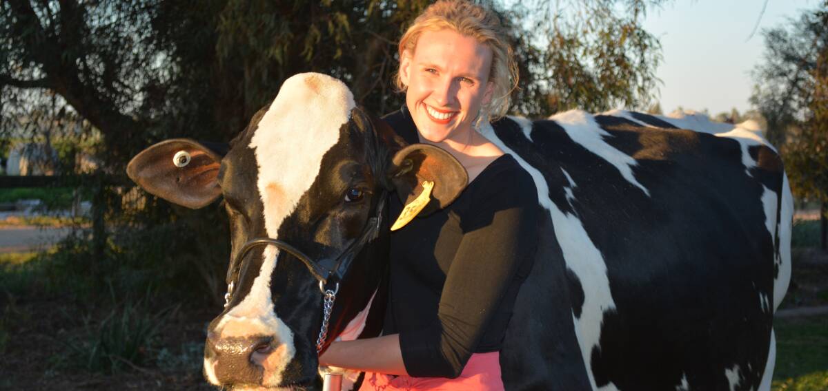 The cream of the crop: Emma Elliott with Alison the cow from Little Big Dairy Co, which has won the champion milk title. Photo contributed.