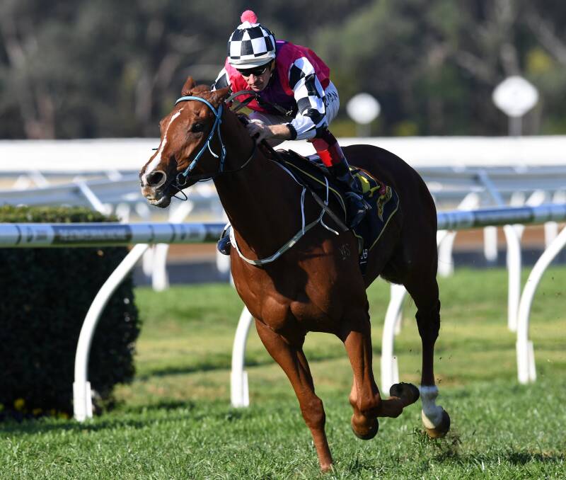 CROCKETT'S ROCKET: Hugh Bowman rides Nictock to victory at Warwick Farm Racecourse last month. The pair pulled off another win at Canterbury on Wednesday. Photo: PAUL MILLER/ AAP IMAGE