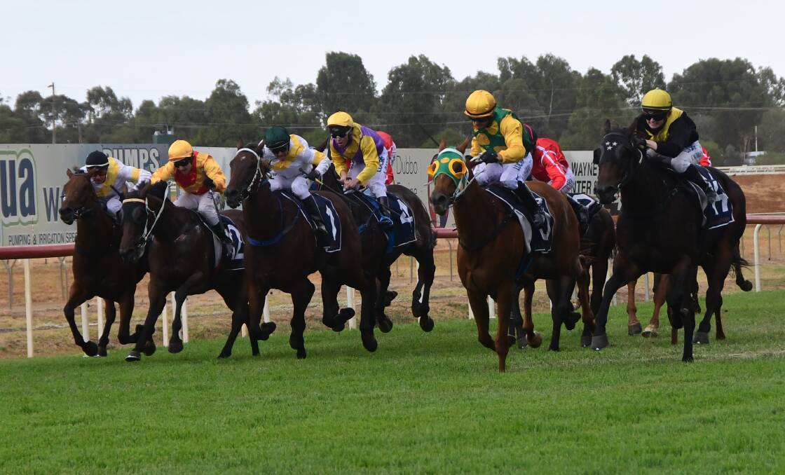 Lulu's Destiny (far left) will be hoping to bounce back into the form that saw her feature in Dubbo's WRA Country Championships Qualifier back in March. Photo: BELINDA SOOLE