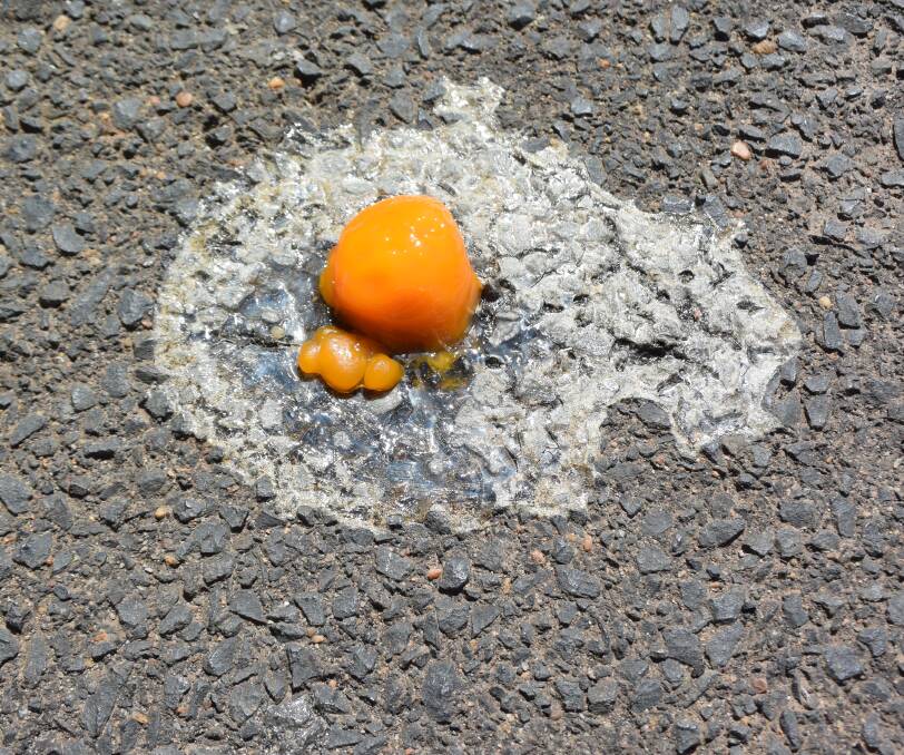 Eggs-periment: The Daily Liberal tried to fry an egg on the asphalt behind the office, but the surface was not quite hot enough. Photo: JENNIFER HOAR