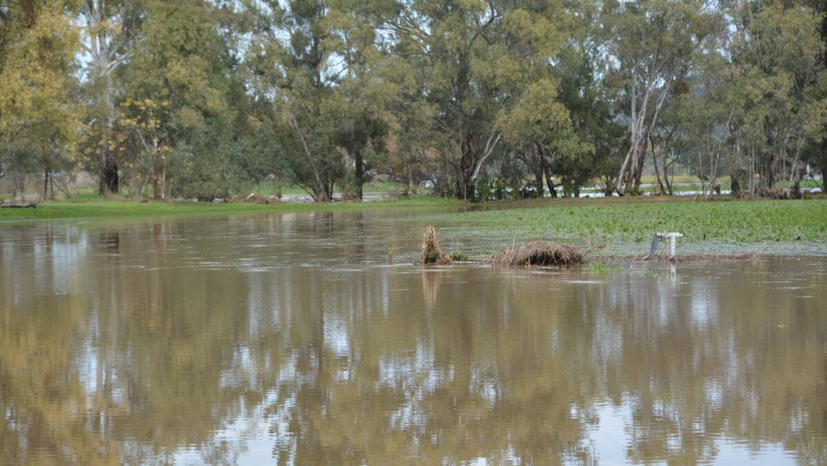 A property in Wellington is inundated by flood water from the Bell River. Photo: FARREN HOTHAM