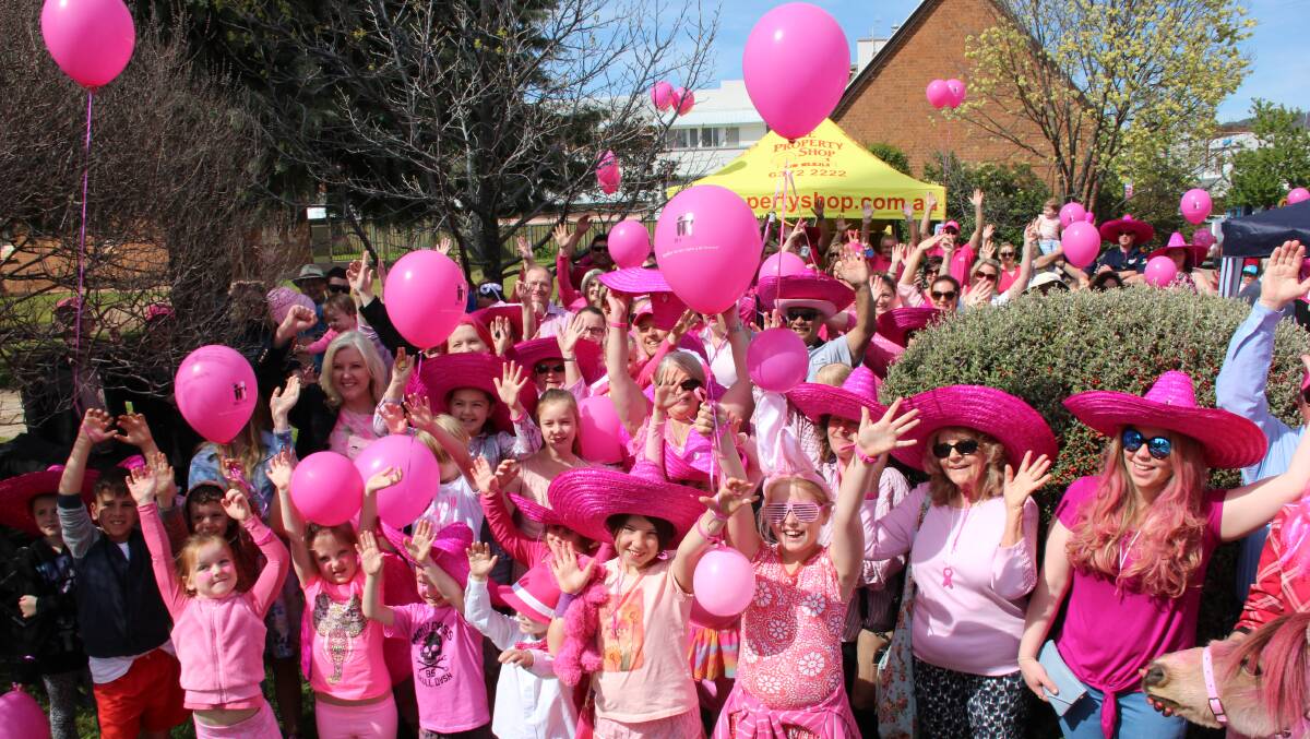 PINK POPULATION: Pink Up Mudgee in 2016 (pictured) will become Pink Up the Region this year with Gulgong and Kandos/Rylstone added.