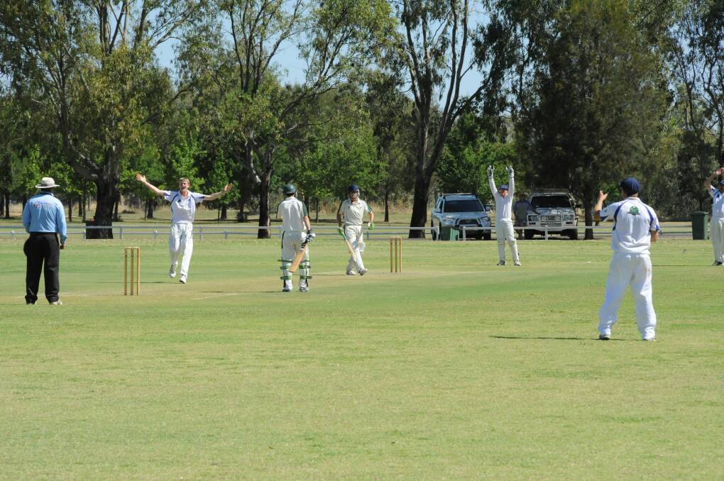 Macquarie's Angus Cusack appeals for the wicket of CYMS batsman Harry Brennan on Saturday. 	 
Photo: HANNAH SOOLE