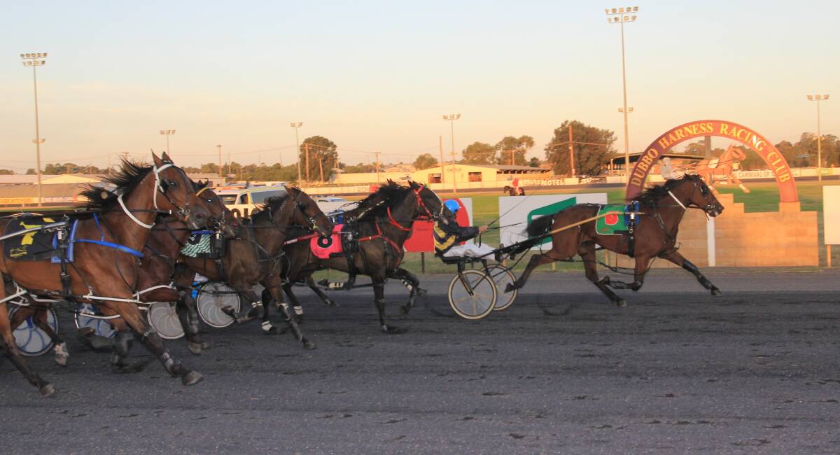 Despite the rest of the field closing in quick, Peggyville held on for a drought-breaking win at Dubbo on Friday evening. 
 Photo: Coffee Photography
