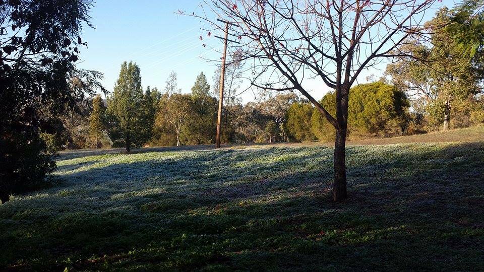 Frost has visited Dubbo this week as early-morning temperatures have plummeted. 							       Photo: Leonie Walker