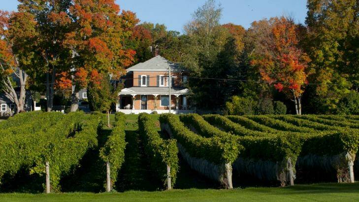 Stately mansions and raked vineyards in Prince Edward County. Photo: Ontario Tourism