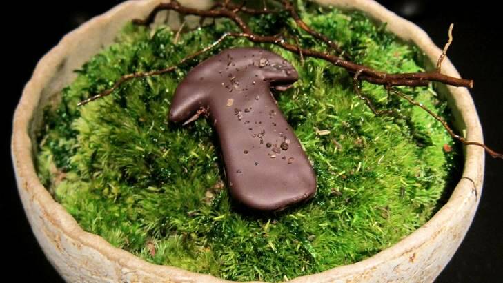 Rather wonderful: Fermented shiitake mushroom in dark chocolate. Photo: Jill Dupleix
