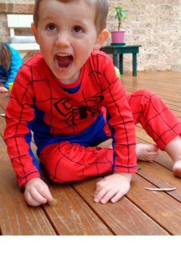 William Tyrell was last seen wearing his Spider-Man outfit. Photo: NSW Police Media Unit