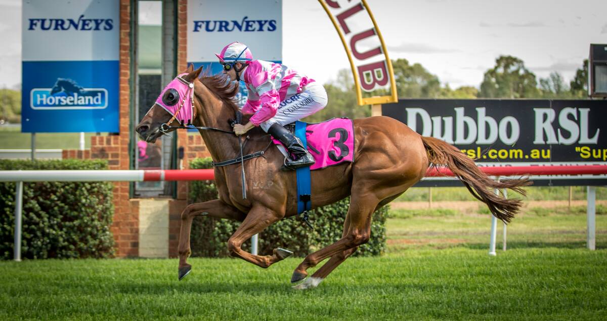Strangerinparadise, pictured winning at Dubbo earlier this year, will be out to win on in her Randwick debut on Saturday. 	    Photo: JANIAN MCMILLAN (www.racingphotography.com.au)
