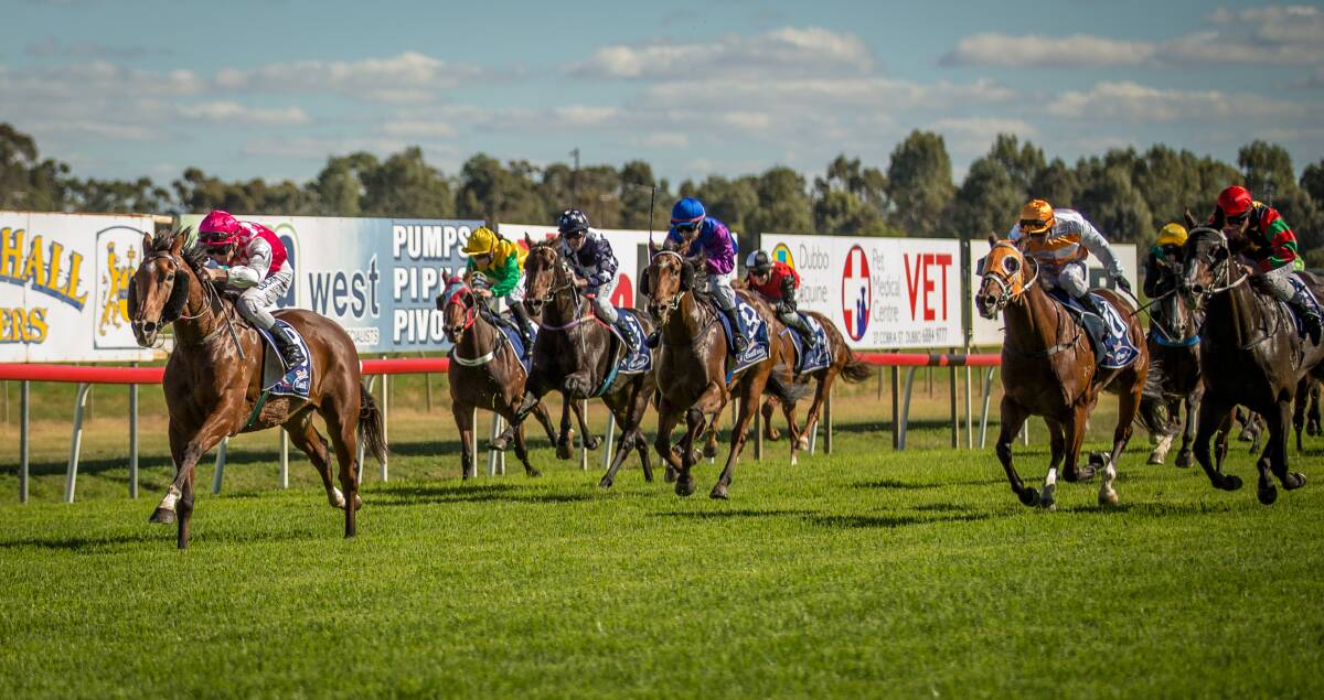 Estabelle will be lining up for a second straight win at Dubbo on Saturday. 						    Photo: JANIAN McMILLAN (www.racingphotography.com.au)