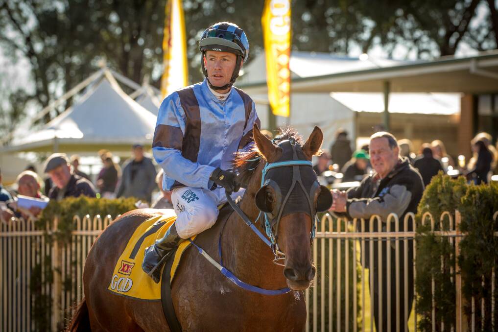 Socks The Fox will start a short-priced favourite in the Cattlemans Cup (1400m) at Warren today.  
Photo: JANIAN McMILLAN (www.racingphotography.com.au)