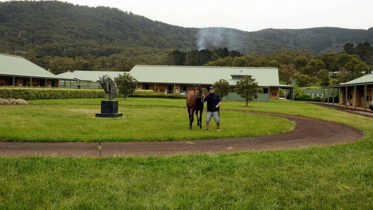 Melbourne Cup winner Green Moon at owner Lloyd Williams' Macedon Lodge, which has been whisked off the market. Photo: Sebastian Costanzo