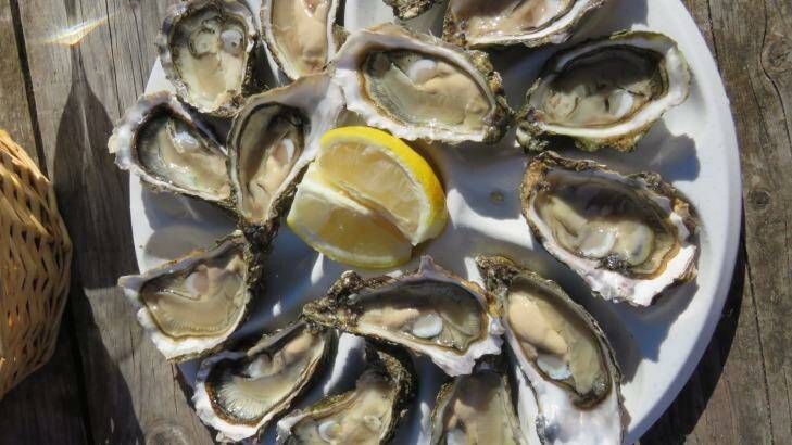 Oysters from the Garonne.