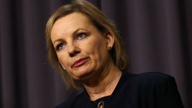 Health Minister Sussan Ley: "All Bill Shorten has announced is he plans to legislate a scare campaign." Photo: Andrew Meares