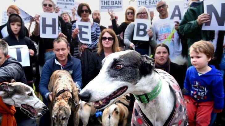 Supporters of a ban on greyhound racing at a park in Newtown on Sunday.  Photo: Steven Siewert