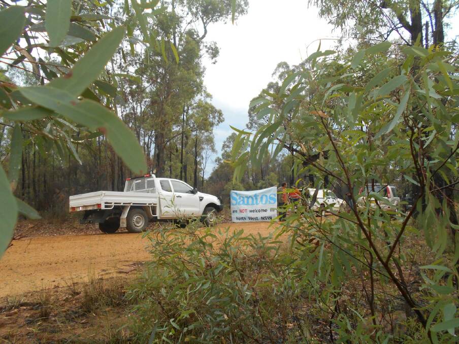 More than 100 people are expected to join in the blockades in the Pilliga Forest against the coal seam gas mine. 	Photo: CONTRIBUTED
