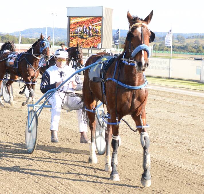 Dubbo's Madison Reynolds and Shannonsablast on their way back to the yard after taking out a heat of the Rising Stars Series at Menangle on Sunday. 					 Photo: HARNESS RACING NSW