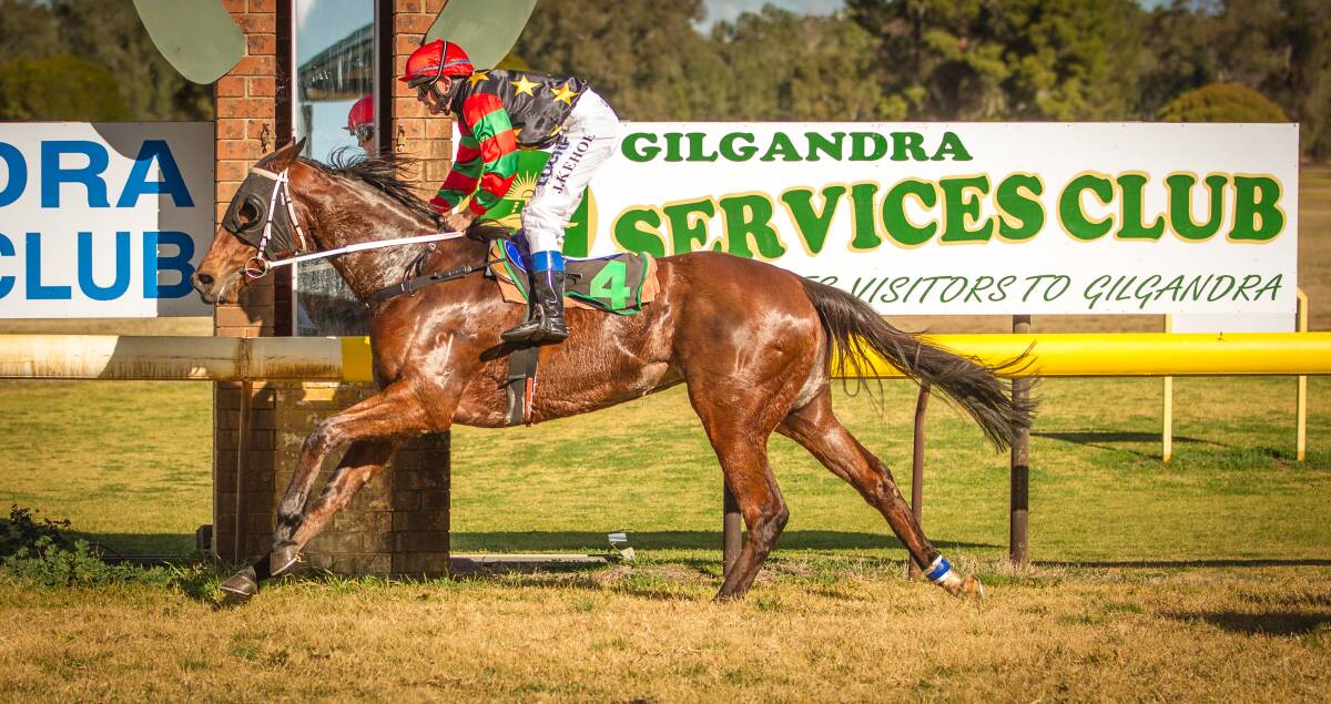 Strong was part of a winning double for trainer Garry Lunn at Gilgandra on Saturday. Photo: JANIAN McMILLAN (www.racingphotography.com.au)