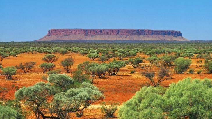 Looking across mulga trees to Mount Conner, Central Australia. Photo: Peter Walton Photography