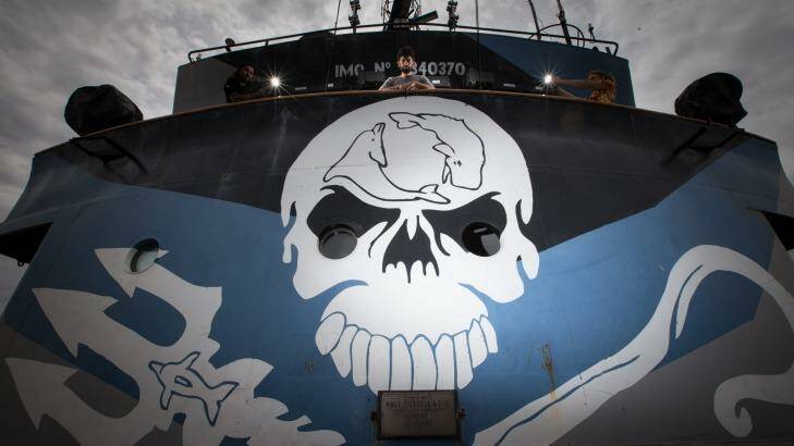 Sea Shepherd dispatched its ship Steve Irwin to patrol the Southern Ocean over summer but was unable to locate the Japanese whaling fleet. Photo: Jason South