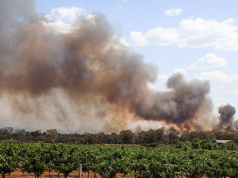 NSW residents have been urged to observe total fire bans ahead of hot and windy conditions.