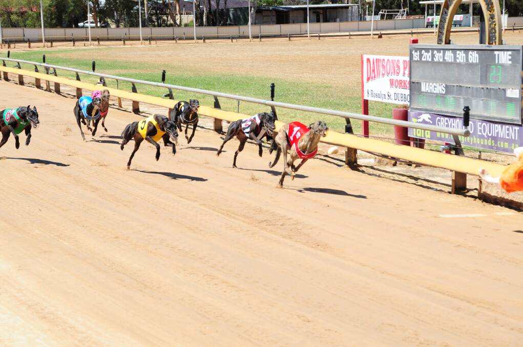 Kaiser King (red rug) powers towards the finish line during yesterday's Bet To Win Stakes (400m). 			 Photos: HANNAH SOOLE