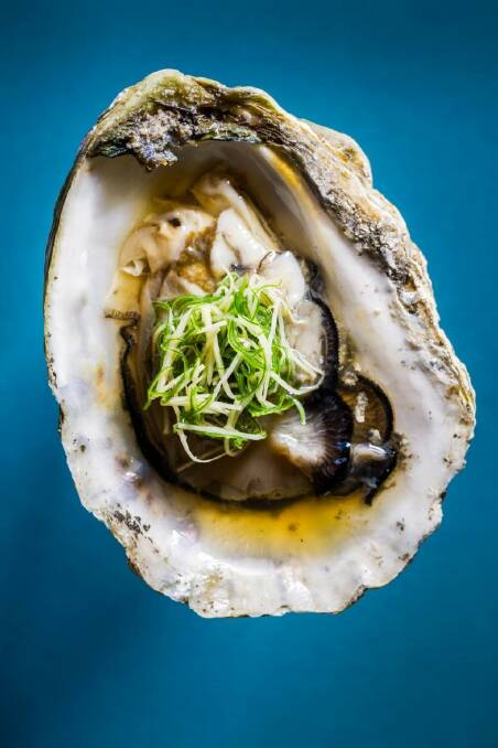 Oysters must be fresh as possible. Photo: David Reist