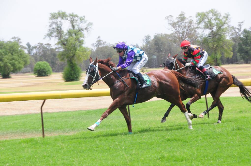 Sensational Moment, ridden to victory at Gilgandra by Greg Ryan earlier this year, will be looking to put an end to Iwilldoit's hot form today. Photo: Louise Donges