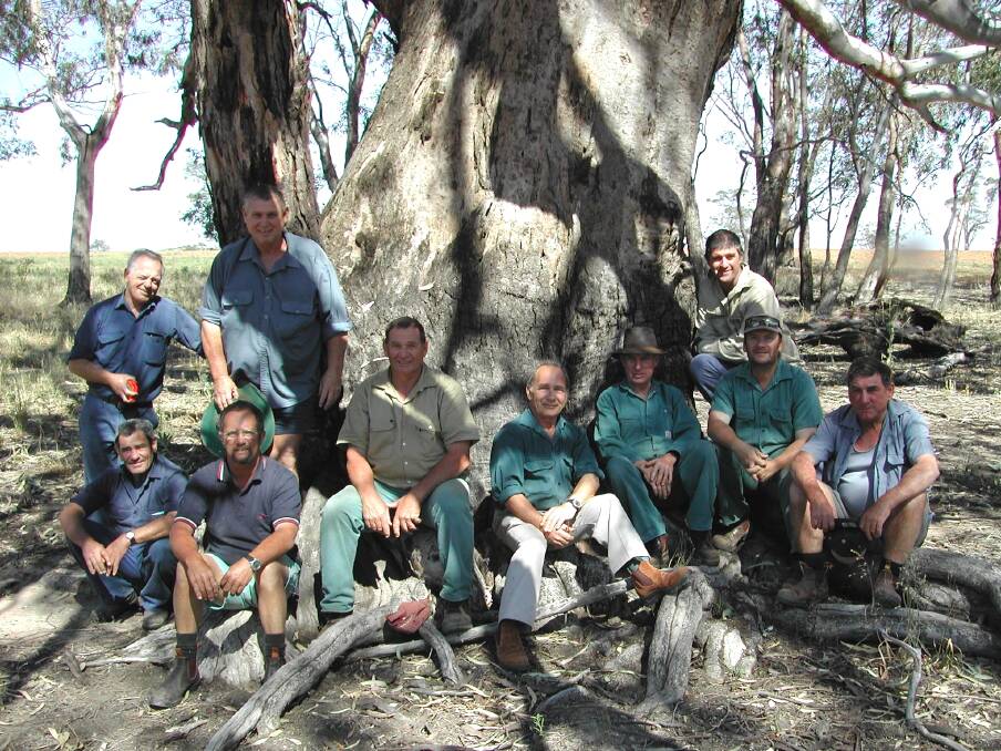 This photograph was taken under what is known as the Sheba tree (due to an ex-forman's old dog being buried beneath it). Standing - Danny Robbins, Peter Dennis and David Mula, Seated - Sonny Phillips, Robbie Riley, Tom Snelgar, Johnny Riley, Andrew Stoneman, Danny Morrow and Brian Sharpe.  
Photo: CONTRIBUTED