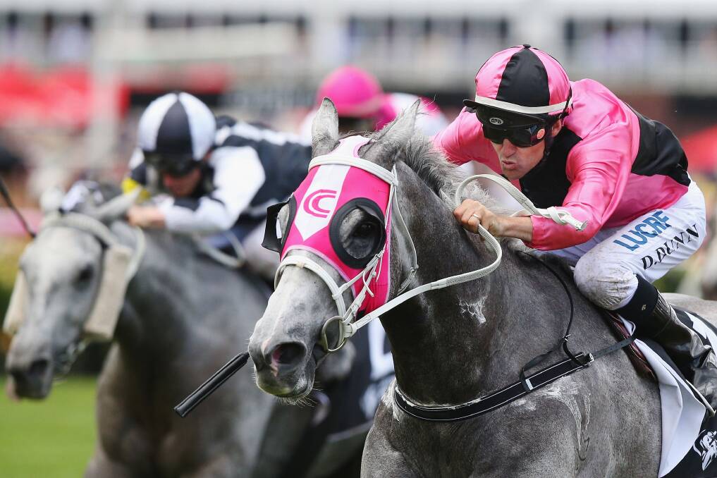 SEALED WITH A KISS: Dwayne Dunn pilots Slate On Edge to victory at Flemington on Thursday. 			   Photo: GETTY IMAGES