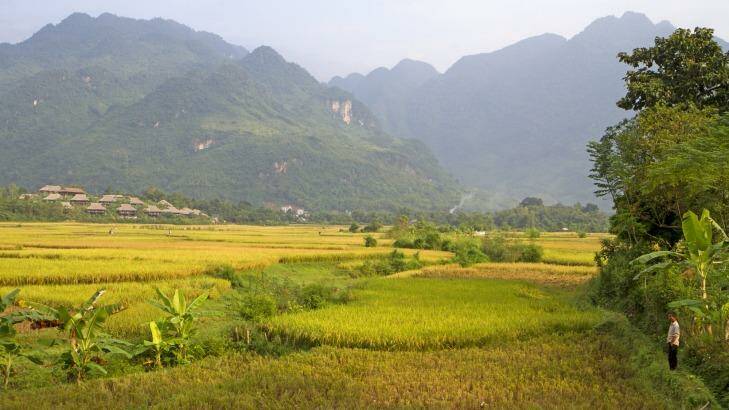 Rice fields and a village near Mai Chau. Photo: Andrew Bain