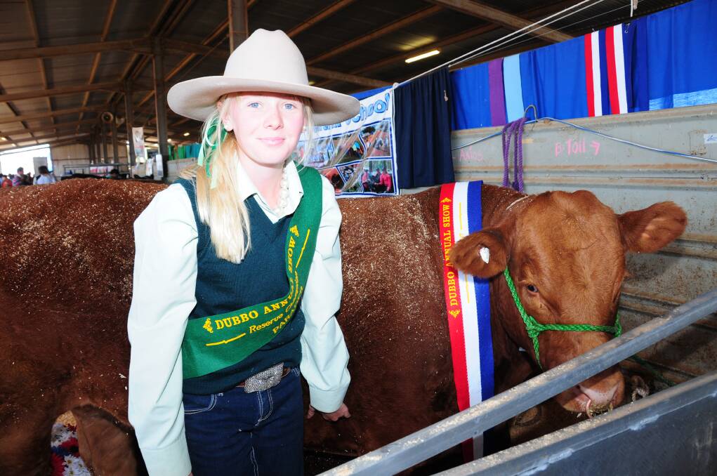Gemma Lydford with red limousin steer Kevin.                                      Photo: CHERYL BOURKE