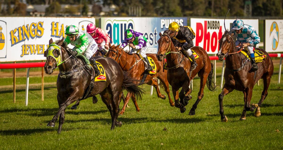 Baffle will resume from a spell for Dubbo trainer Stephen Edwards today. 	Photo: JANIAN McMILLAN (www.racingphotography.com.au)