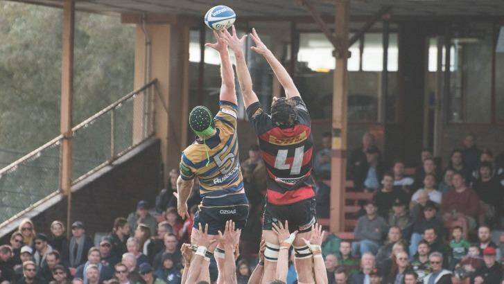 The 2016 Shute Shield grand final between Norths and Sydney University at North Sydney Oval.  Photo: Christopher Pearce