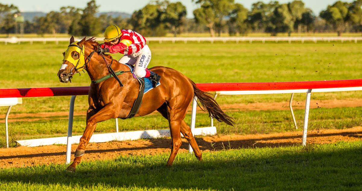 Howdiddydoit clears out to win the feature Narromine Diggers Cup (1300m) on Sunday.