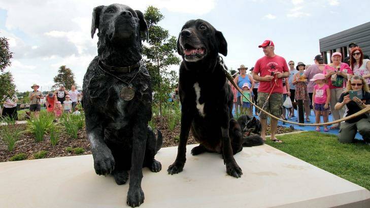 Sarbi and a statue of herself at a dog park in Warner on February 28.  Photo: Michelle Smith